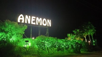 Vizyonumuz